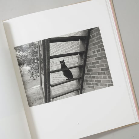 [新刊/New]Summertime / Mark Steinmetz(マーク・シュタインメッツ)