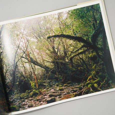 NEW PICTURES FROM PARADISE / Thomas Struth(トーマス・シュトゥルート)