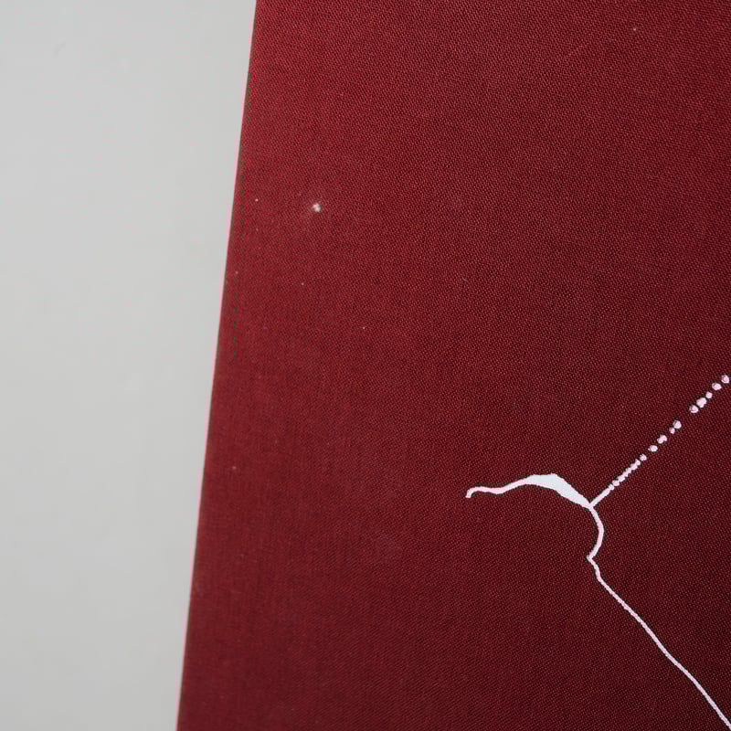 MILKY WAY / Vincent Ferrane(ヴァンサン・フェラーネ) | book