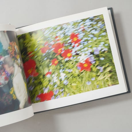 [サイン入/Signed] MURMURATION / 川内倫子(Rinko Kawauchi)