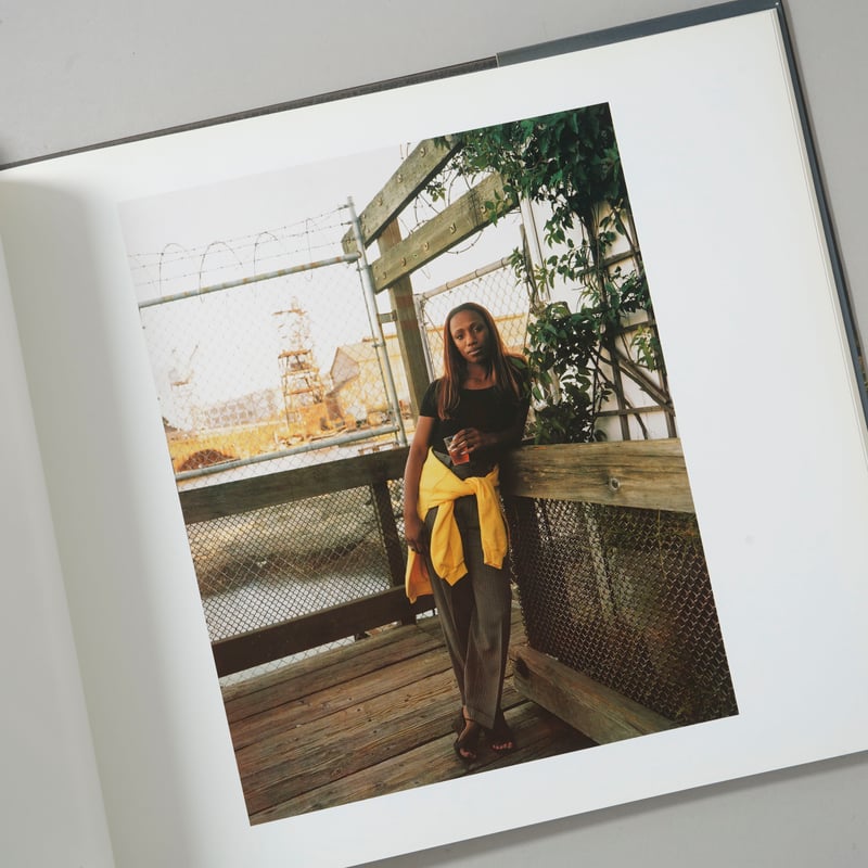 Stranger Passing / Joel Sternfeld(ジョエル・スタンフェルド)