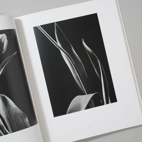 HANA / 石元泰博(Yasuhiro Ishimoto)
