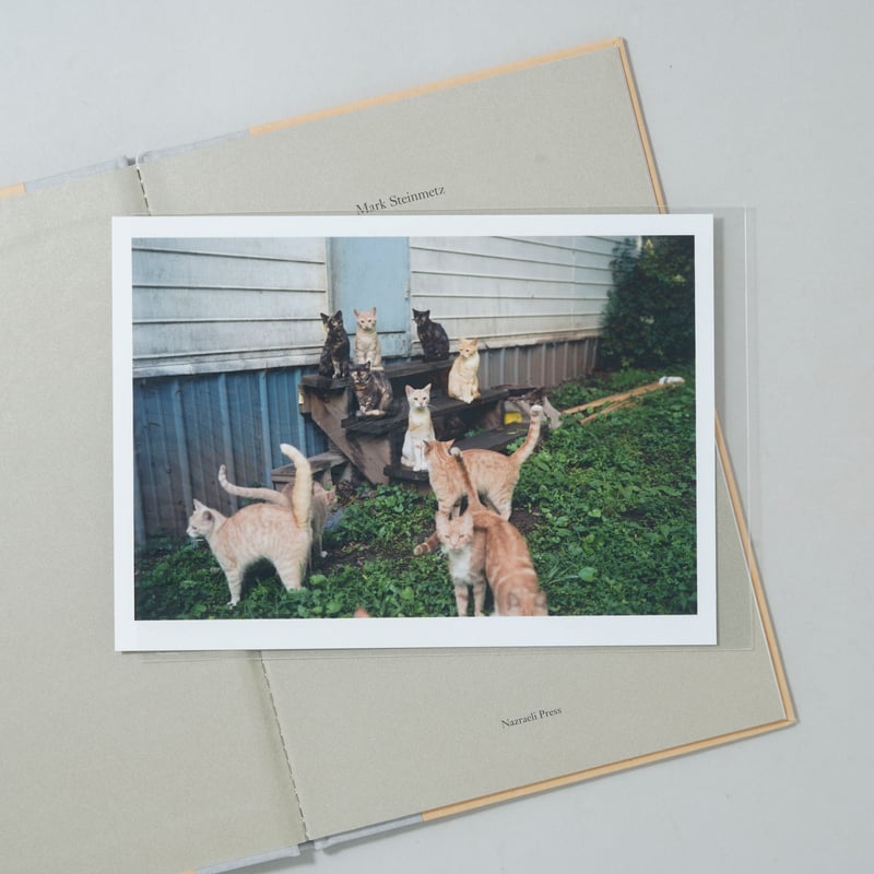 芸術写真 Mark Steinmetz / Original Print 新刊/New]CHICAGO / Mark Steinmetz(マーク・シュタインメッツ)