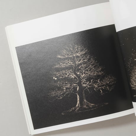 [サイン入/Signed] 手中一滴 Bonsai Microcosmos Macrocosmos / 山本昌男(Masao Yamamoto)