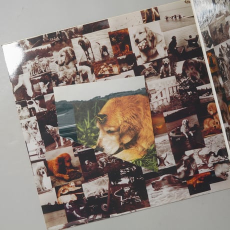 A LETTER TO TRUE JUST BLUE FILMS / Bruce Weber(ブルース・ウェーバー)