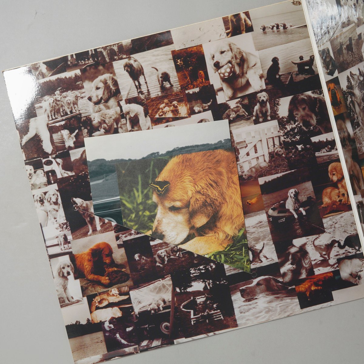 A LETTER TO TRUE JUST BLUE FILMS / Bruce Weber(