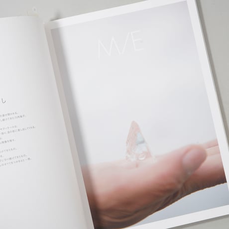 IMA 2019 Autumn Vol.29 川内倫子のまなざし / 川内倫子(Rinko Kawauchi)