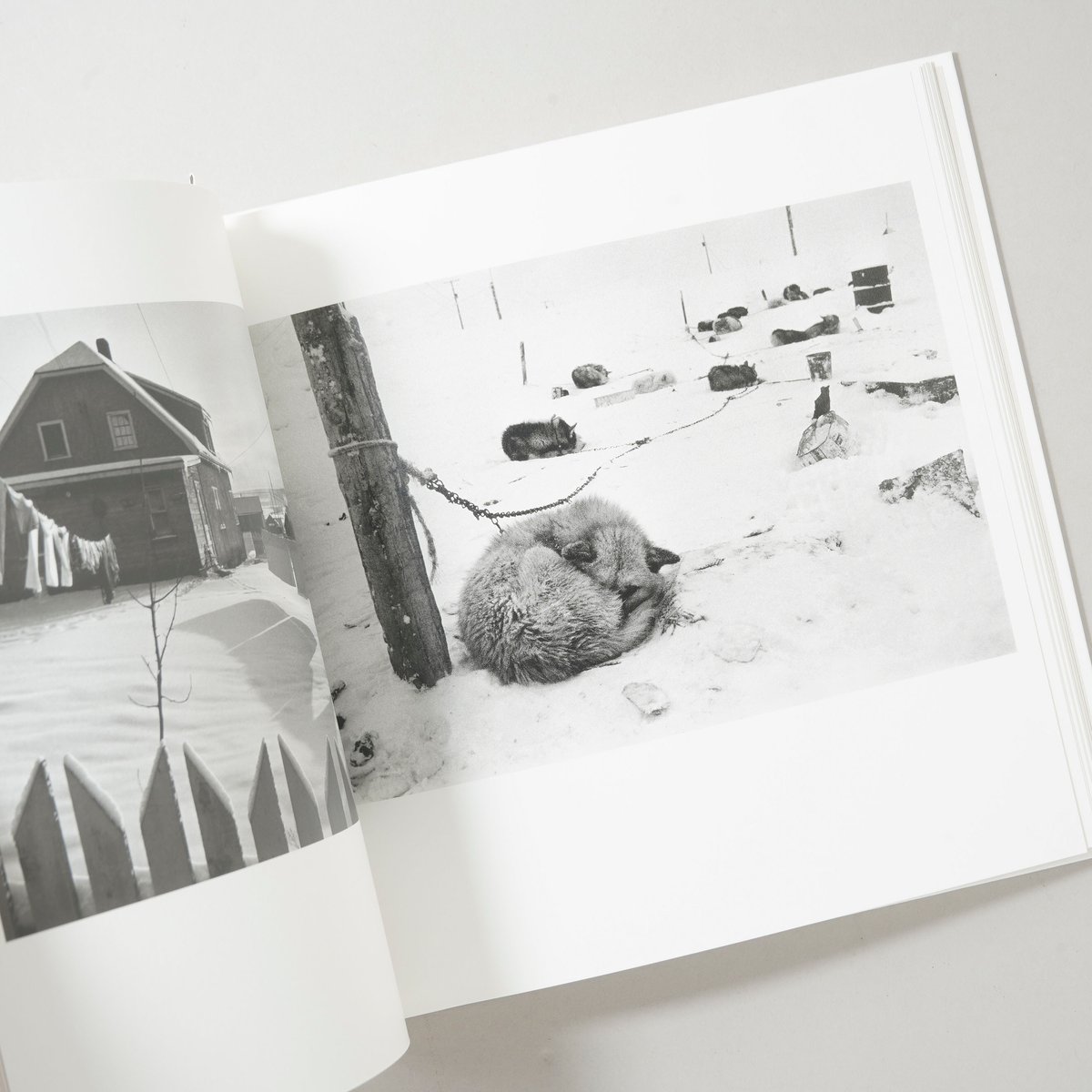 洋書 Alaska - Marc Riboud Alaska / MARC RIBOUD(マルク・リブー) | bookobscura｜写真集