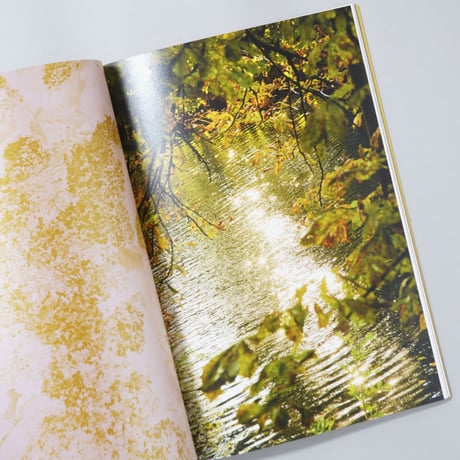 [新刊/サイン入] Melody of Light / 野村恵子(Keiko Nomura)