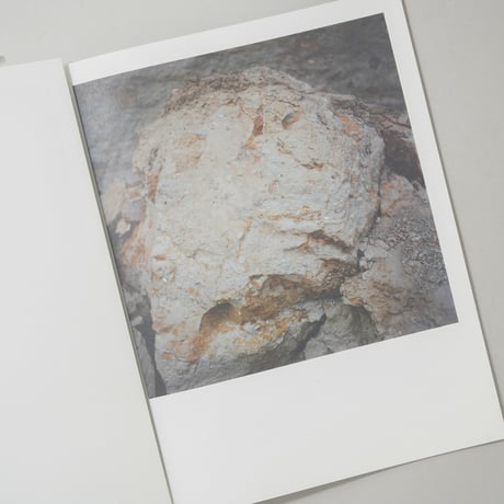 [サイン入/Signed] VULKAN ODER STEIN / Anne Schwalbe(アンネ・シュヴァルべ)