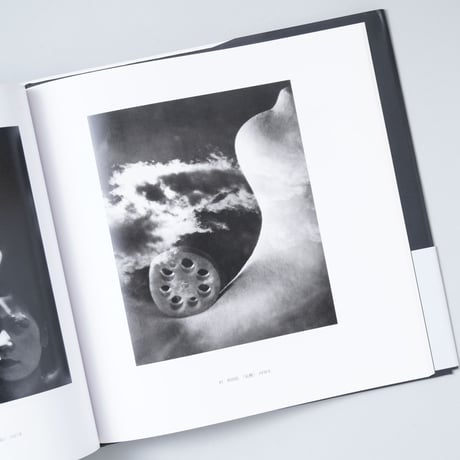 小石清と前衛写真(日本の写真家15) / 小石清(Kiyoshi Koishi)