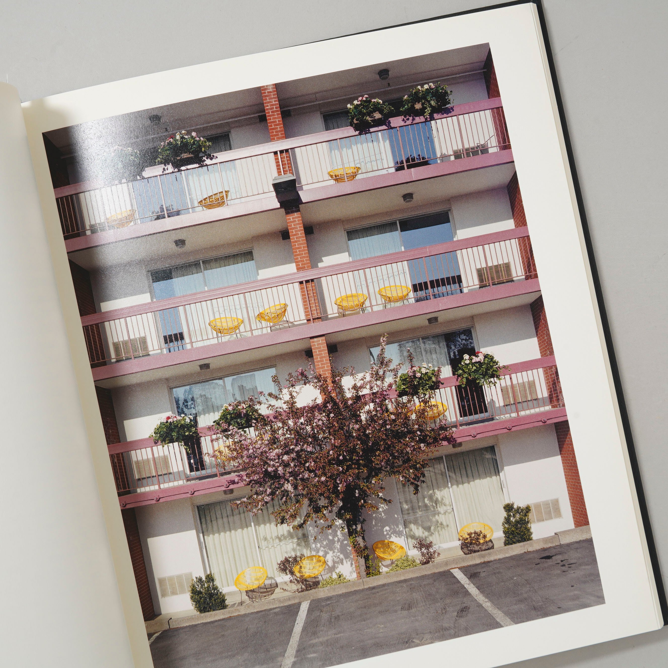 NIAGARA / Alec Soth(アレック・ソス) | bookobscura｜写真集専