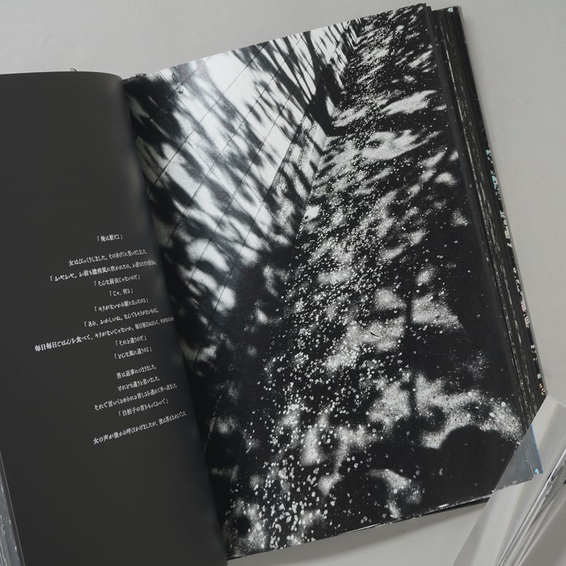 CATEGORY ー japanese | bookobscura｜写真集専門書店｜写真家によ
