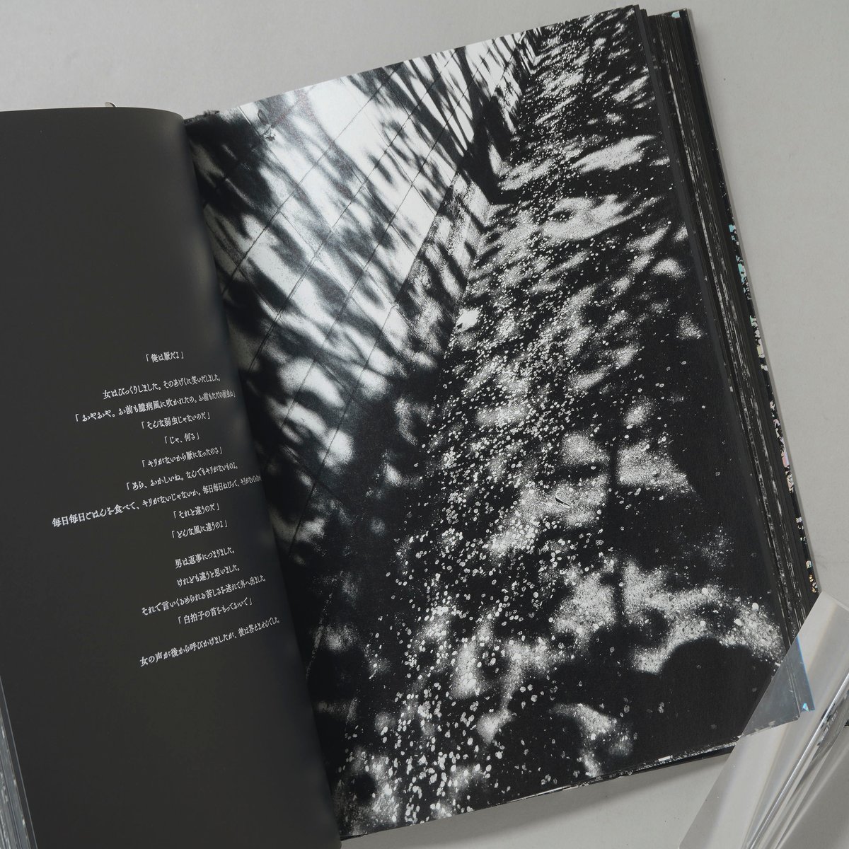 サイン入/Signed] Ango(日本語版) / 森山大道(Daido Moriyama)