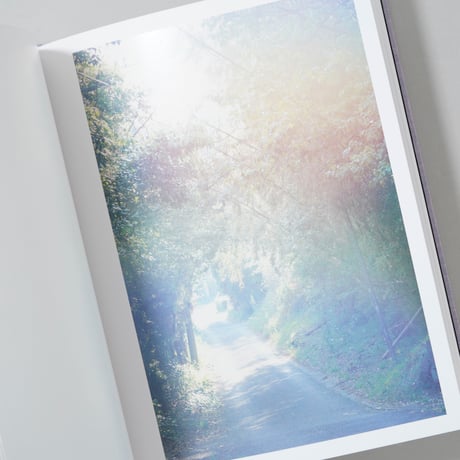 [新刊/New]Des oiseaux (On birds) / 川内倫子(Rinko Kawauchi)