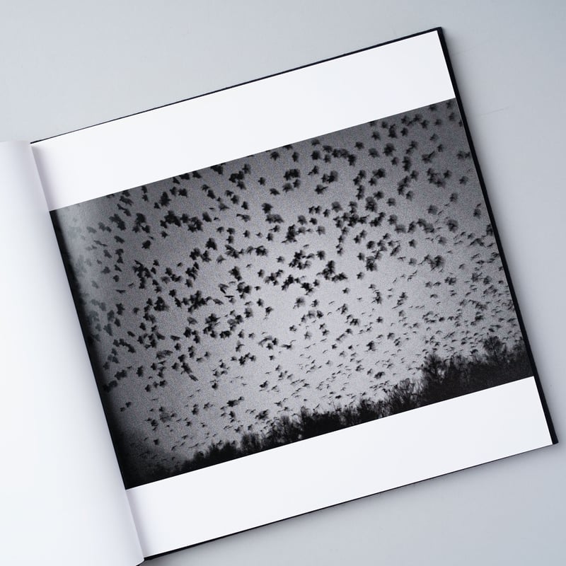 鴉 (RAVENS)/ 深瀬昌久(Masahisa Fukase) | book obscur...