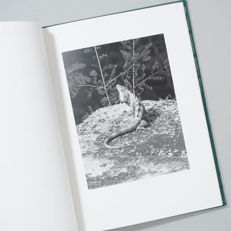 CHICXULUB / Mårten Lange(モルテン・ランゲ)