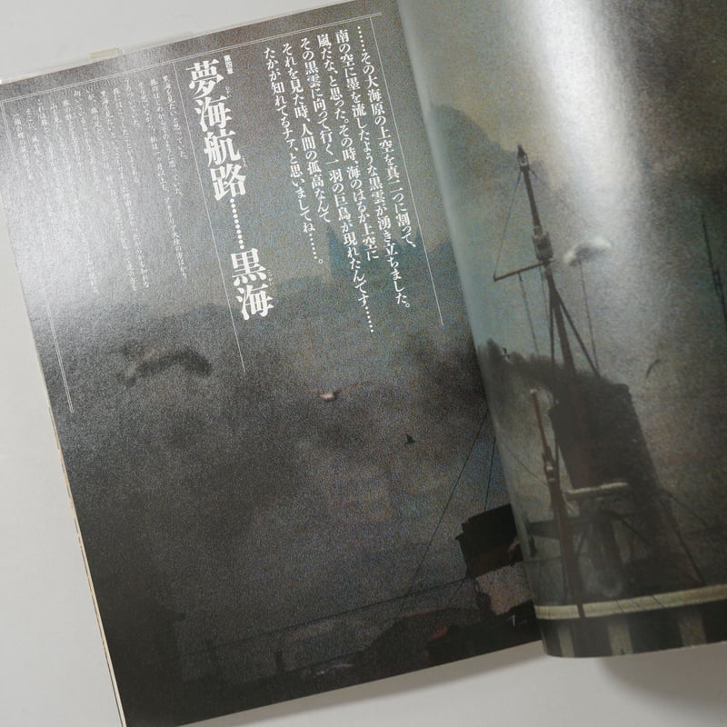 【絶版・希少】全東洋街道　藤原新也　集英社　1981年　初版 全東洋街道 / 藤原新也(Shinya Fujiwara) | bookobscura｜写真集