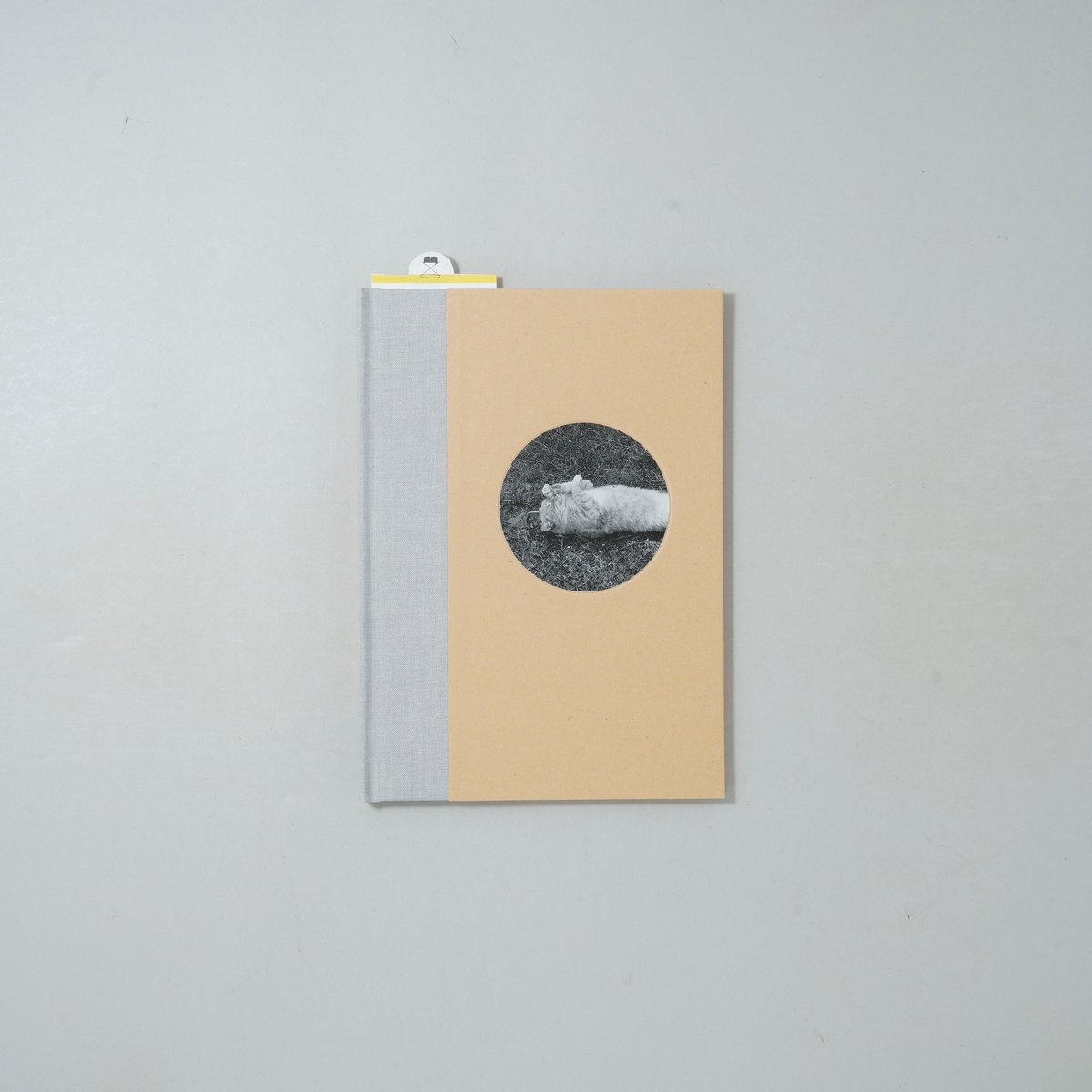 新刊/New]ONE PICTURE BOOK TWO #16 CATS / Mark St