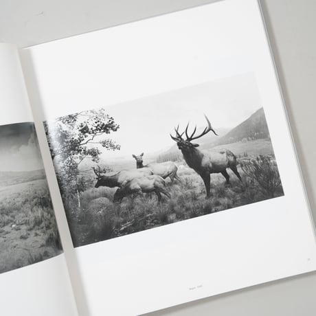 [新刊/New] TIME MACHINE / 杉本博司(Hiroshi Sugimoto)