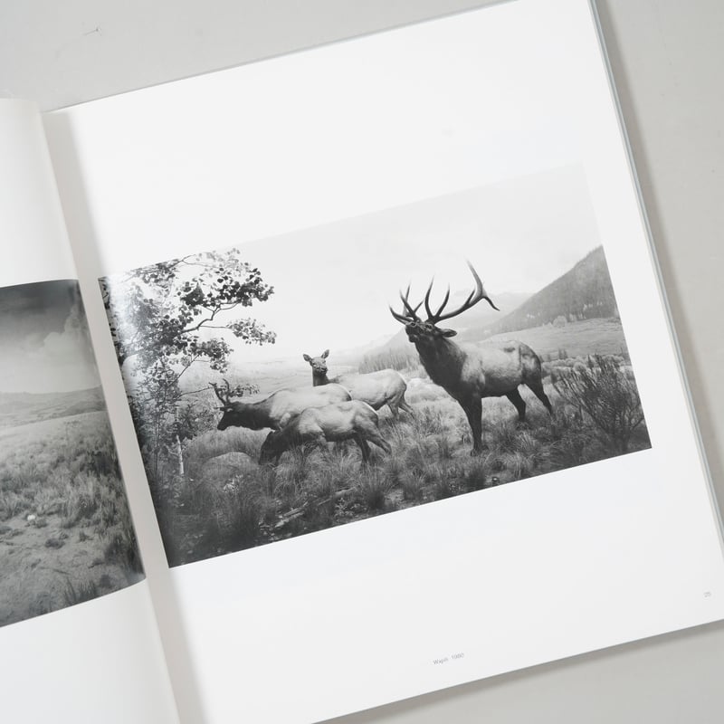 新刊/New] TIME MACHINE / 杉本博司(Hiroshi Sugimoto)