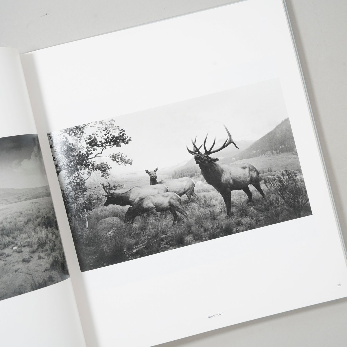 杉本博司 TIME MACHINE 新刊/New] TIME MACHINE / 杉本博司(Hiroshi Sugimoto)