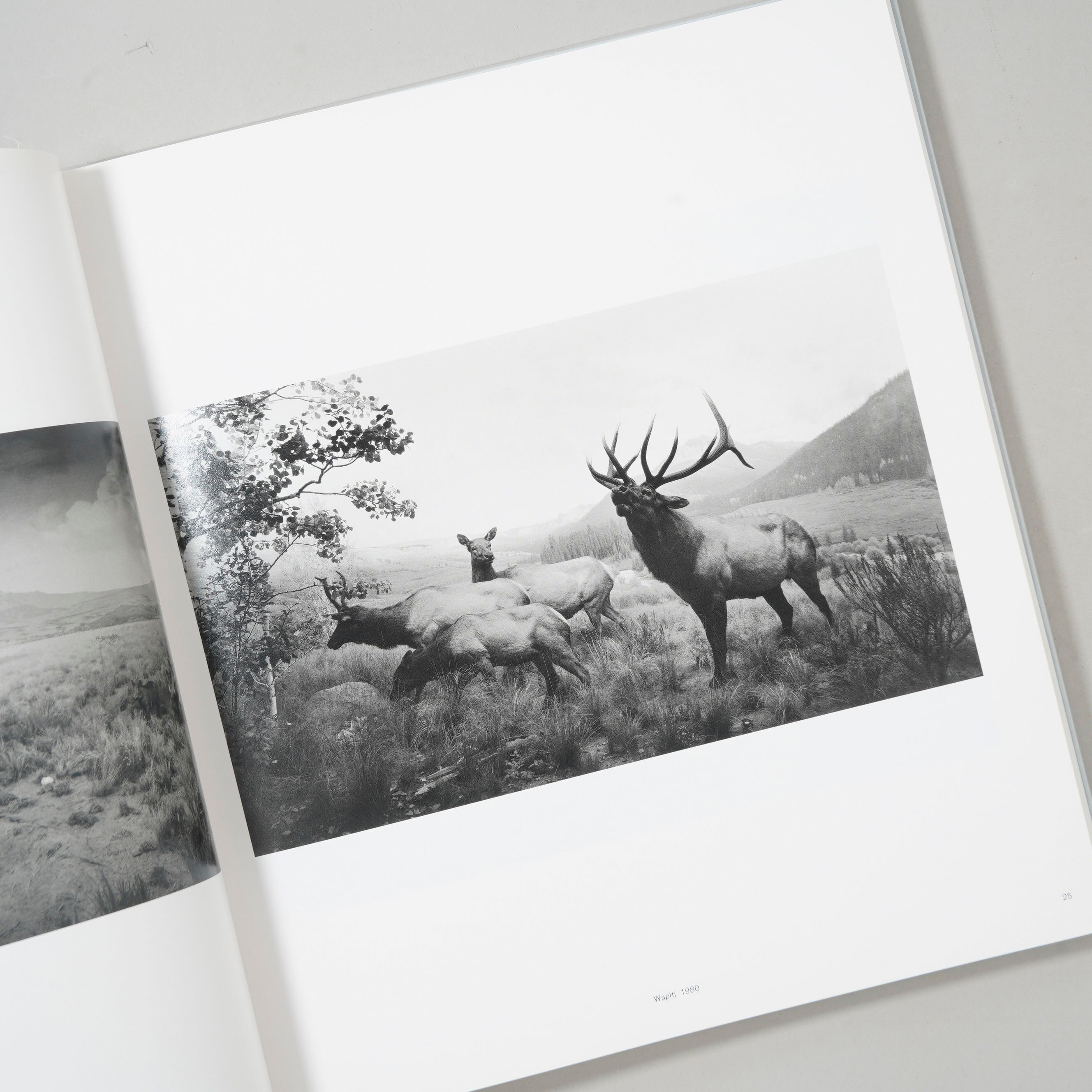 新刊/New] TIME MACHINE / 杉本博司(Hiroshi Sugimoto)