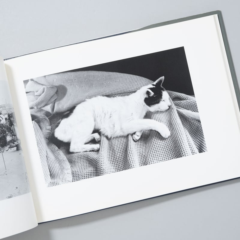 センチメンタルな旅、春の旅 / 荒木経惟(Nobuyoshi Araki) | book ob...