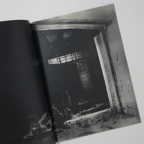 back yard / 横田大輔(Daisuke Yokota)
