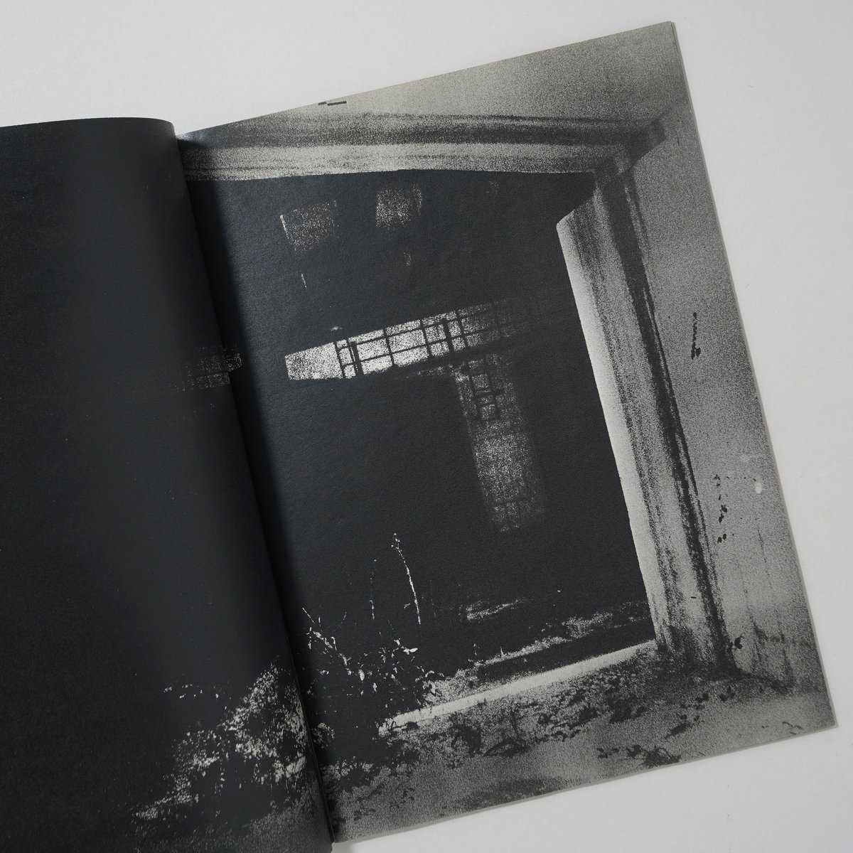 back yard / 横田大輔(Daisuke Yokota) | bookobscura｜