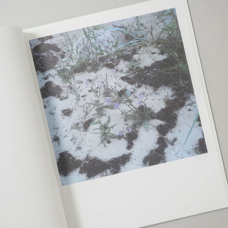 [サイン入/Signed] WIESE XXI-XLVIII / Anne Schwalbe(アンネ・シュヴァルべ)