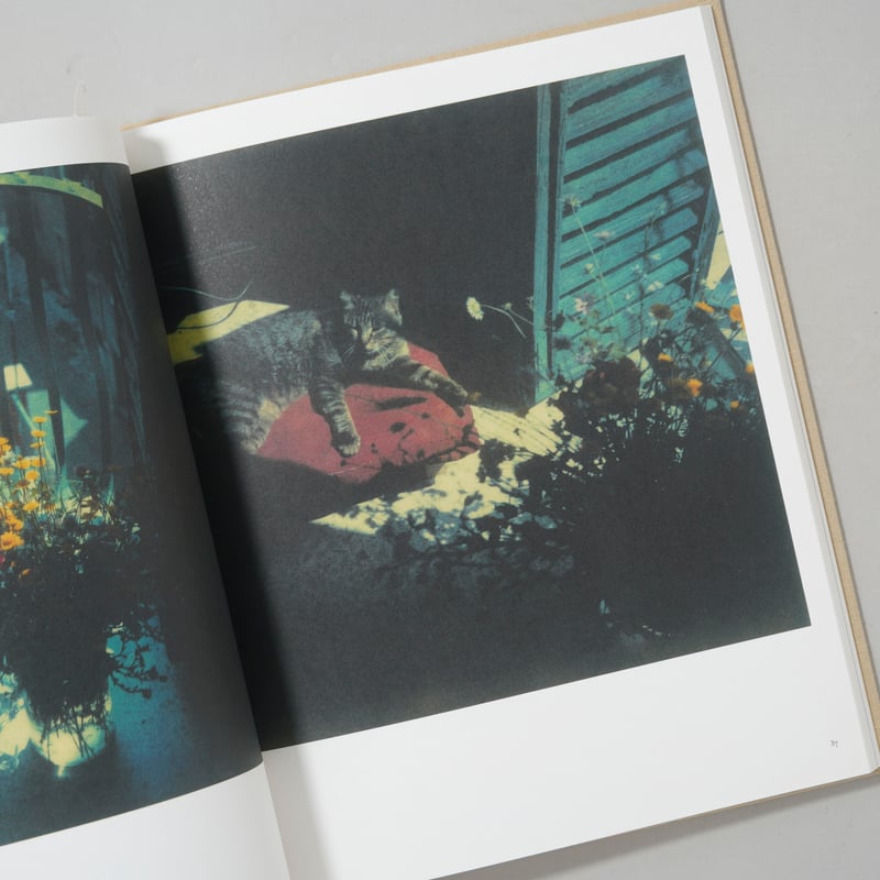 Tarkovsky タルコフスキー / Bright,bright day Bright, bright day (English Edition) - Andrey Tarkovsky