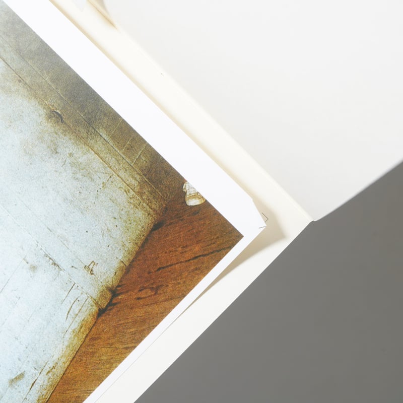 2-13 / William Eggleston(ウィリアム・エグルストン) | bookob