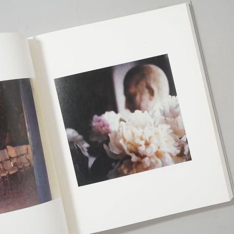 Cy Twombly photographs Lyrical Variations 「サイ・トゥオンブリーの写真」展 変奏のリリシズム / Cy Twombly（サイ・トゥオンブリー）