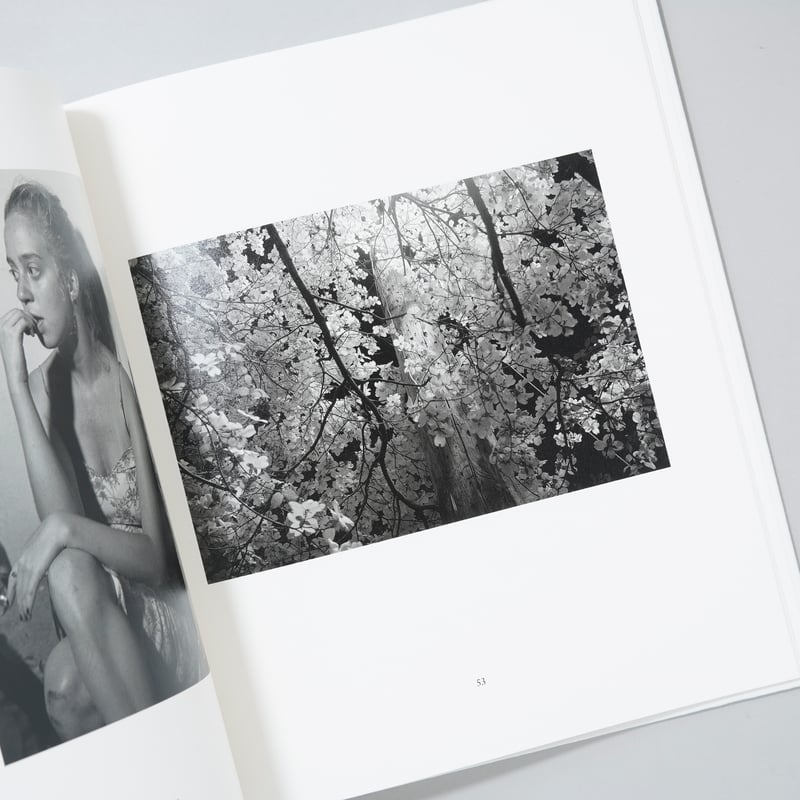 新刊/New]SOUTH EAST / Mark Steinmetz（マーク・シュタインメッ