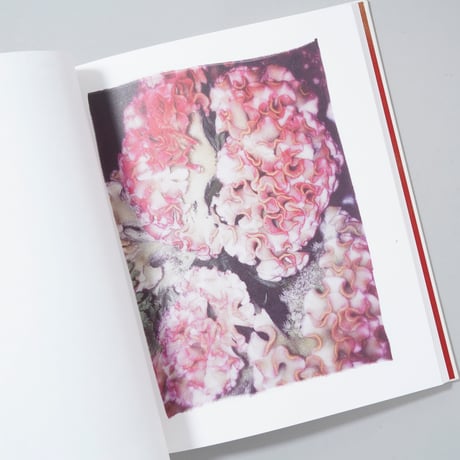 [新刊/New] Swaying Flowers / Ayaka Endo(遠藤文香)