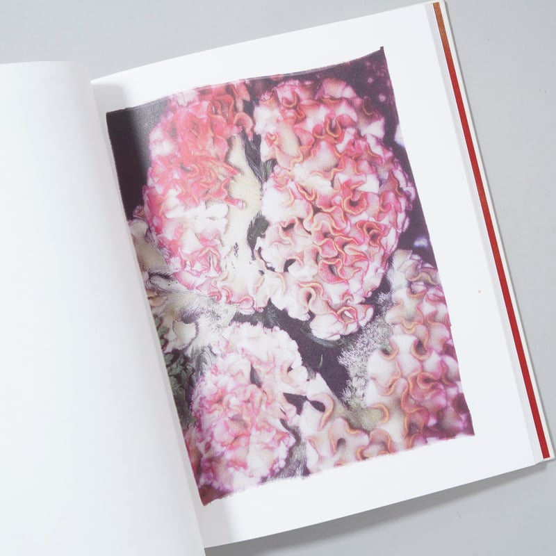 新刊/New] Swaying Flowers / Ayaka Endo(遠藤文香) | b