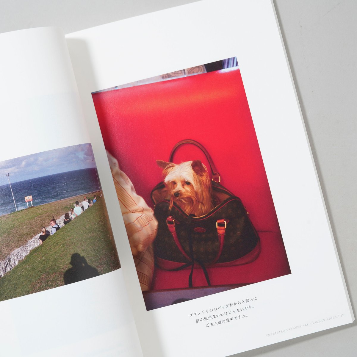 新刊/New] 88 YOSHIHIRO TATSUKI EIGHTY EIGHT －1－