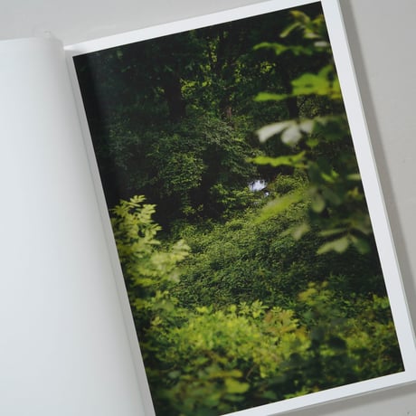[新刊/New] Cloud Physics / Terri Weifenbach (テリ・ワイフェンバック)