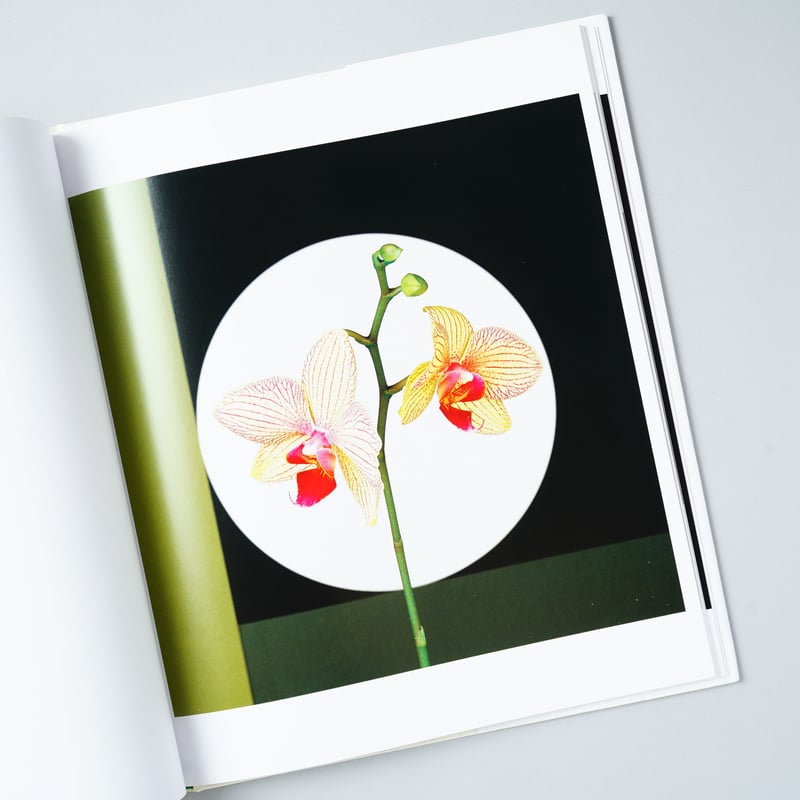 Flowers / Robert Mapplethorpe (ロバート・メイプルソープ)、文：...