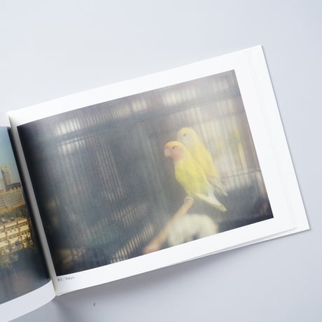 [新刊サイン入/New,Signed] MY HOUSE / 熊谷聖司 (Seiji Kumagai)