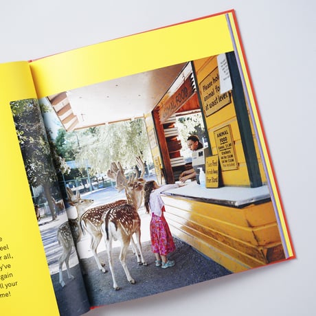 [新刊/New] ABC photography / Martin Parr, Wolfgang Tillmans, Nan Goldin, Alec Soth, Peter Lindbergh, 他