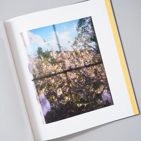 [新刊/New] I KNOW HOW FURIOUSLY YOUR HEART IS BEATING / Alec Soth(アレック・ソス)