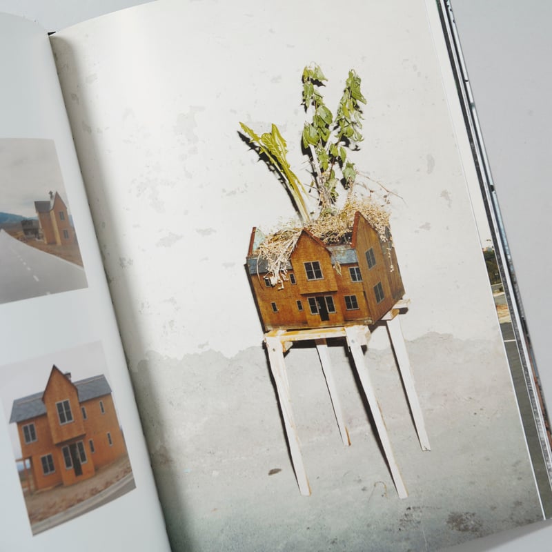 The Great Unreal / Taiyo Onorato and Nico Krebs