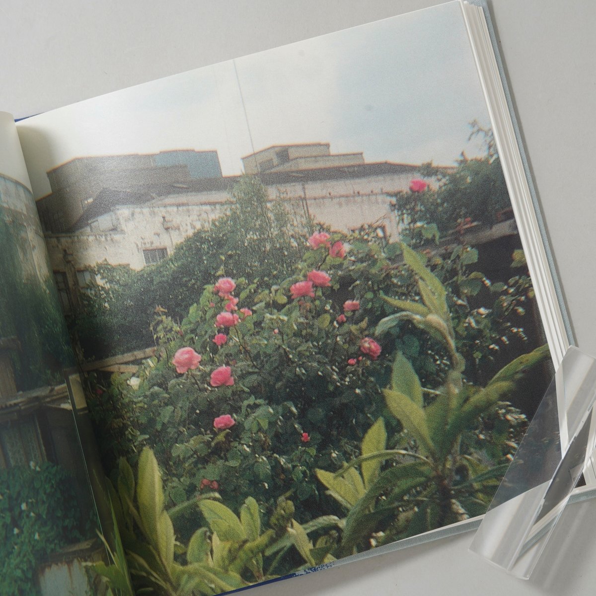 サイン入/Signed] Hackney Wick / Stephen Gill(スティーブ