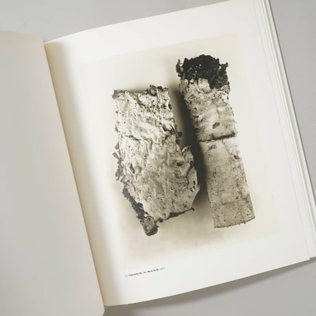 Platinum Prints / Irving Penn(アーヴィング・ペン)