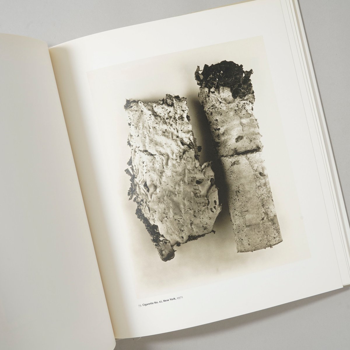 Platinum Prints / Irving Penn(アーヴィング・ペン) | book