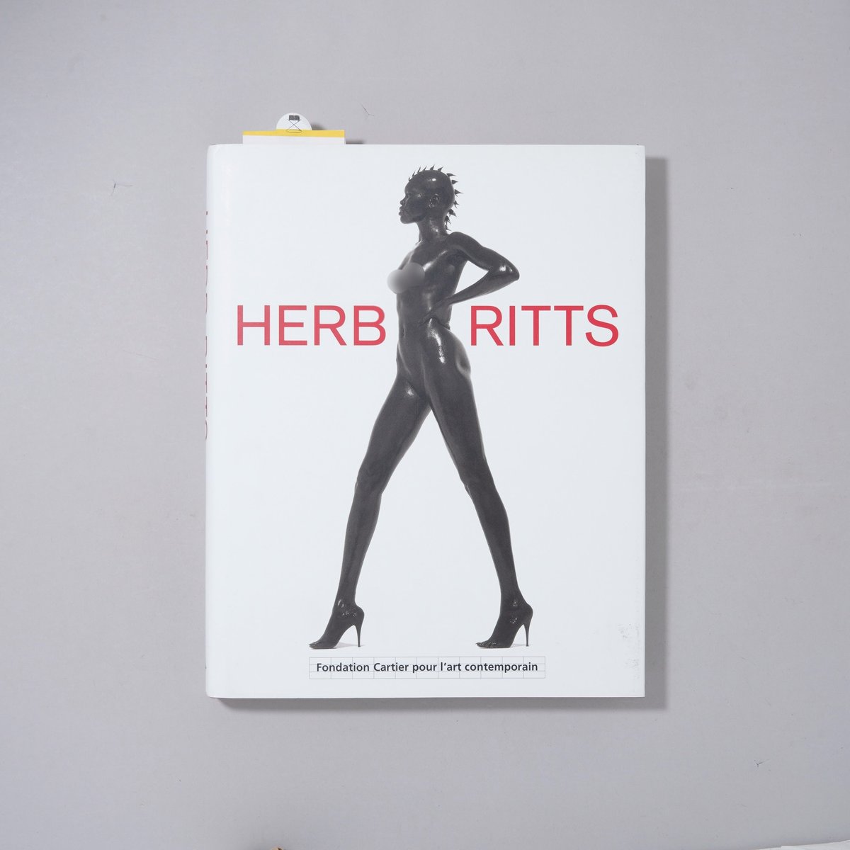 HERB RITTS Cartier pour I'art contemporain / He