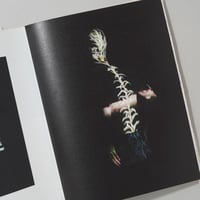 高橋恭司　サイン入り写真　メモリー 高橋恭司 サイン入り写真 メモリー 高橋恭司 サイン入り写真