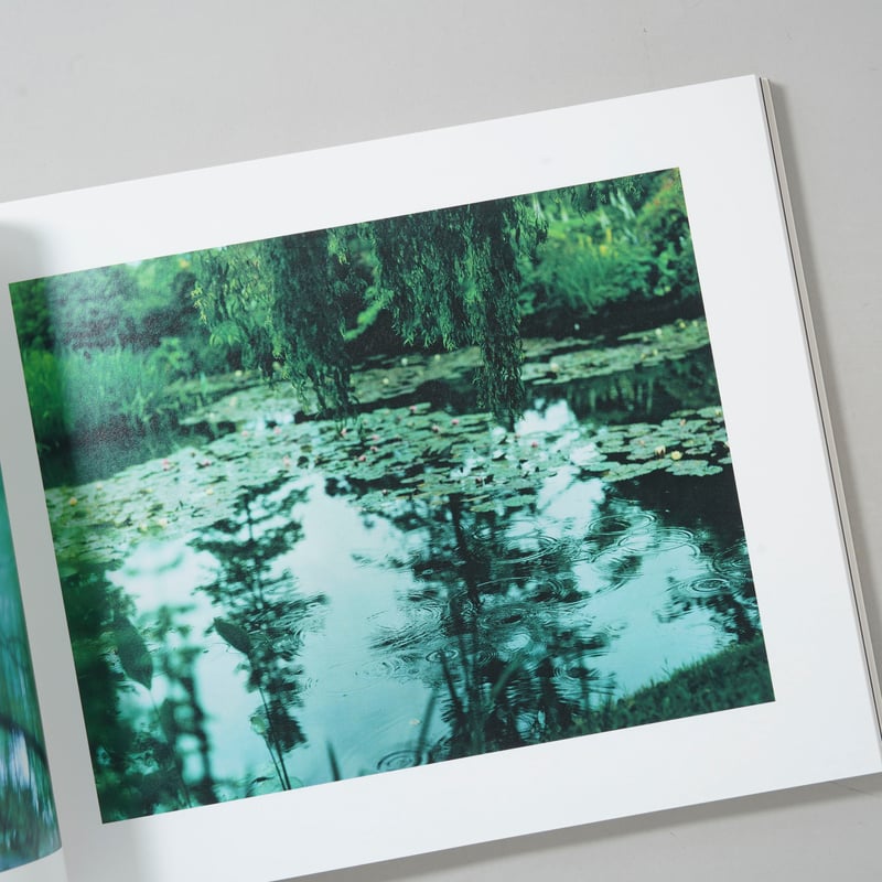 写真と絵画−セザンヌより 柴田敏雄と鈴木理策 / 柴田敏雄(Toshio